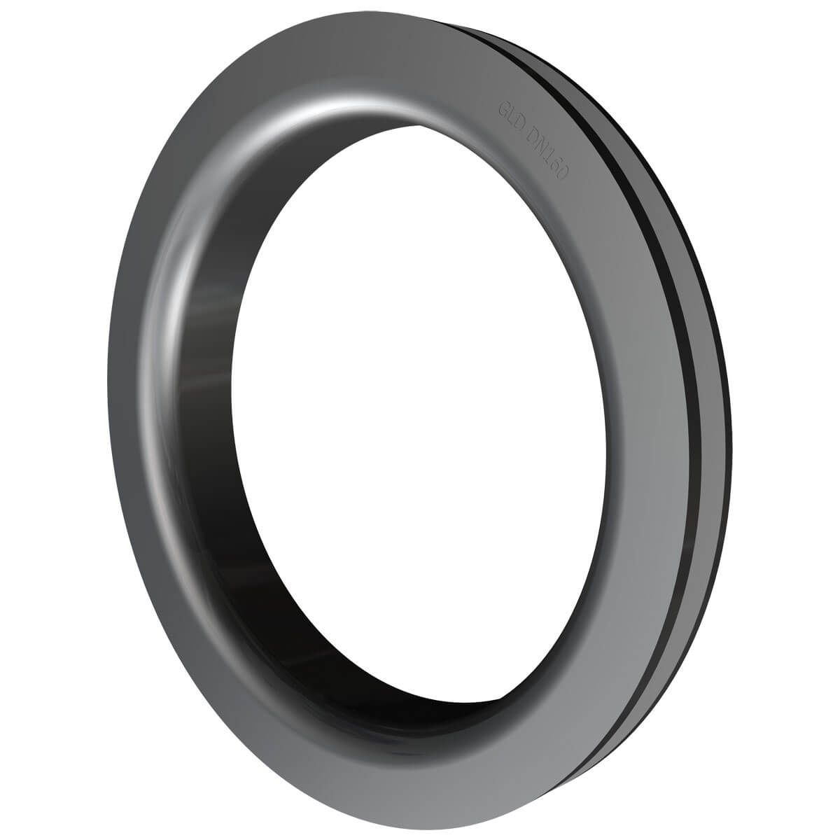 Lippendichtung DN150/160